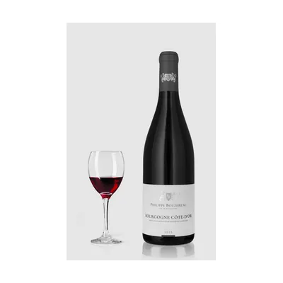 Domaine Philippe Bouzereau Bourgogne Cote Dor Rouge 2023 – Domaine Philippe Bouzereau