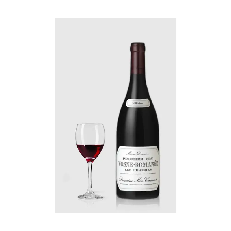 Domaine Méo-Camuzet Vosne-Romanée 1. Cru Les Chaumes 2023 – Domaine Méo-Camuzet