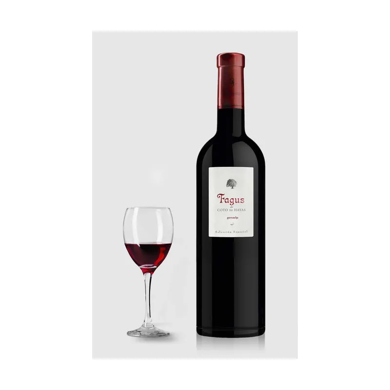 Bodegas Aragonesas Fagus Garnacha 2022 Magnum 1,5 L