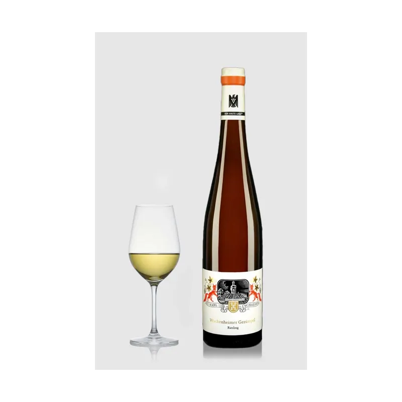 Wachenheim Gerümpel Riesling Erste Lage trocken 2021