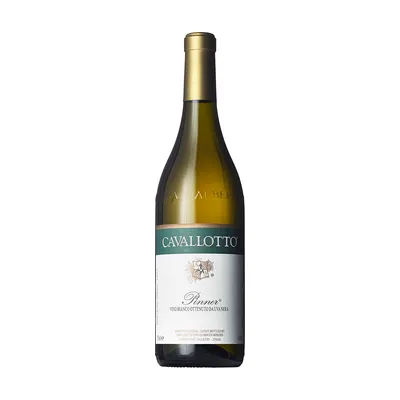 Pinner – Cavallotto