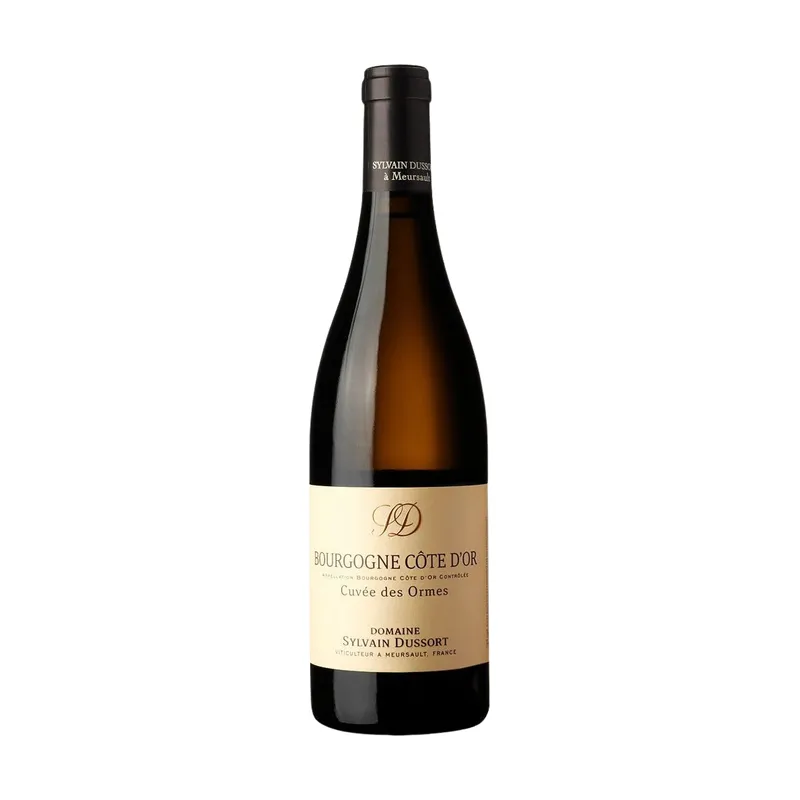 Bourgogne Blanc Côte d'Or Cuvée des Ormes – Domaine Sylvain Dussort