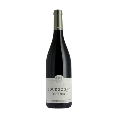 Bourgogne Pinot Noir – Naudin Tiercin