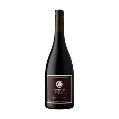 Pinot Noir Rho MG – Principe Pallavicini