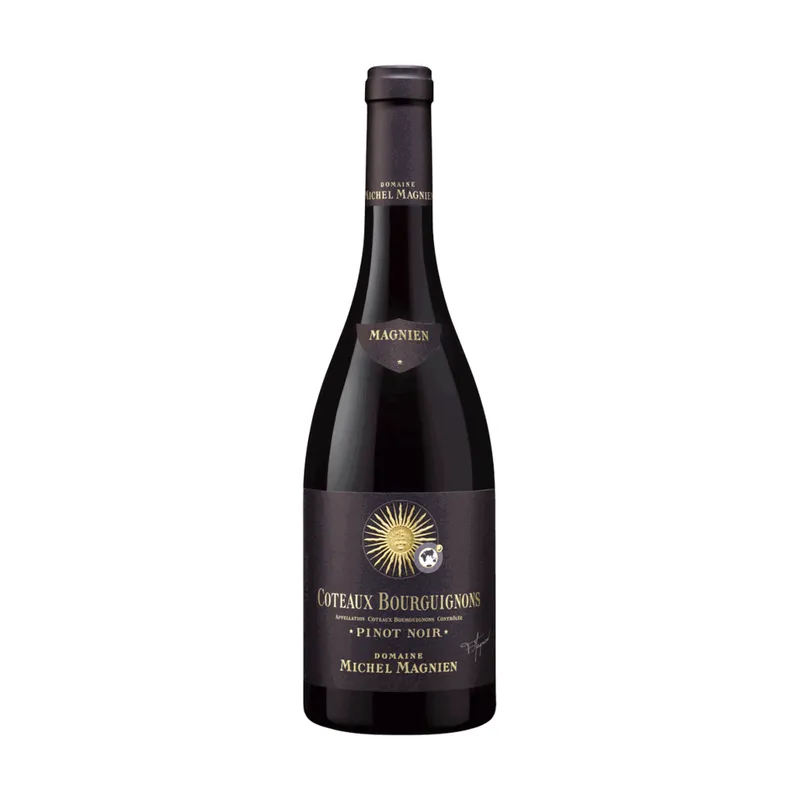 Coteaux Bourguignons Rouge – Domaine Michel Magnien et Fils
