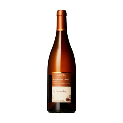 Muscadet Les Vignes du Bourg Blanc – Apolline et Julien Braud - Vigne
