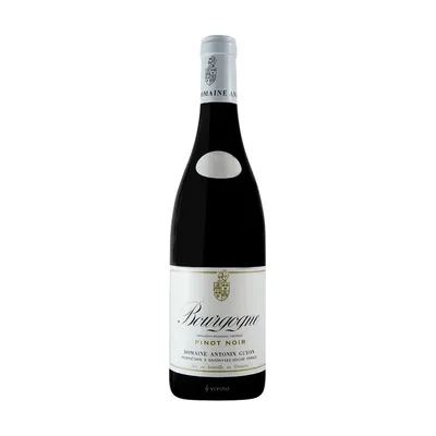 Bourgogne Rouge – Domaine Antonin Guyon