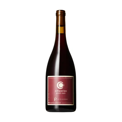 Pinot Noir Rho – Ampelos Cellars
