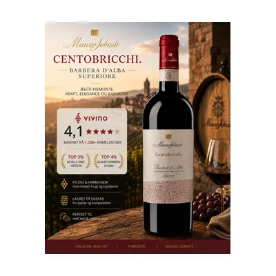 Barbera D´alba Superiore D.O.C.G. Centobricchi2022 MAGNUM