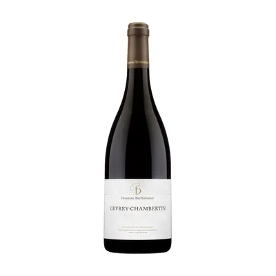 Gevrey-Chambertin – Domaine Berthelemot