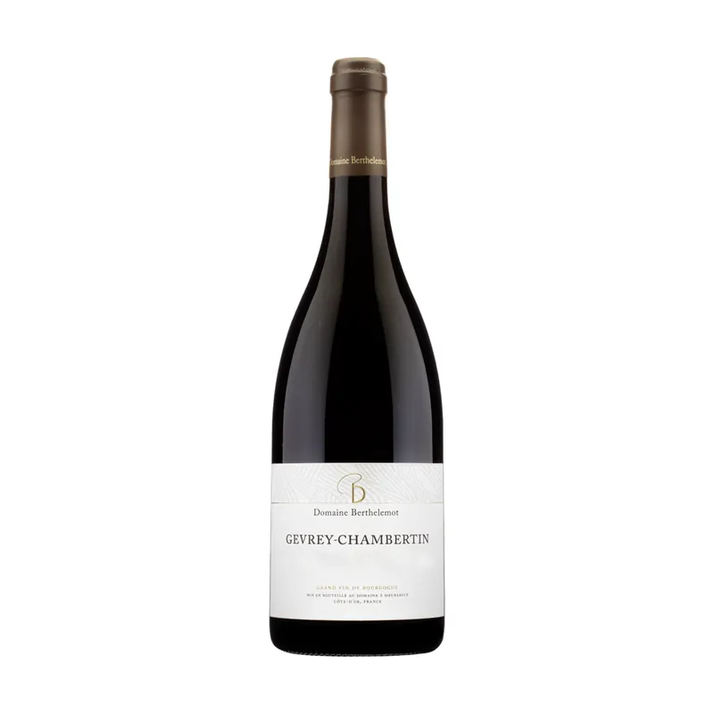 Gevrey-Chambertin – Domaine Berthelemot