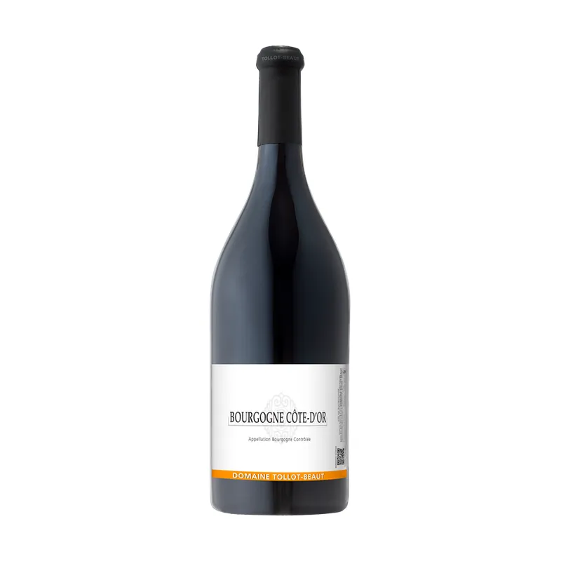 Bourgogne Rouge Cote d'Or – Domaine Tollot-Beaut