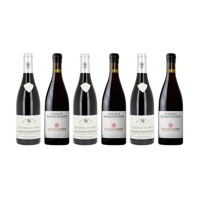 Bourgogne Pinot Noir  3+3 flasker med elegance & dybde