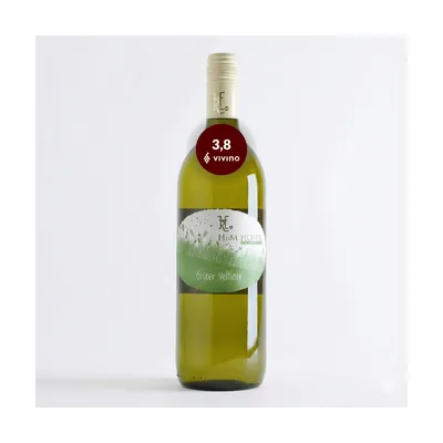 2024 H.u.M. Hofer Grüner Veltliner  Biodynamisk Hvidvin (1 Liter), Auersthal Østrig – H.u.M. Hofer