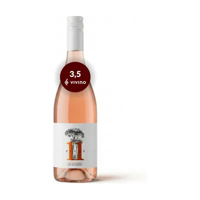 11 Pinos Macabeo, økologisk og vegansk orangevin, 2024, Manchuela, Spanien