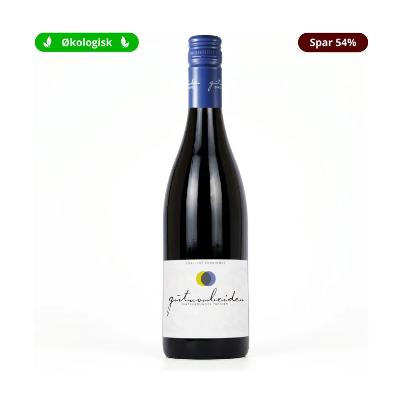Gut von Beiden Spätburgunder 2024 - Økologisk Pinot Noir, Pfalz, Tyskland