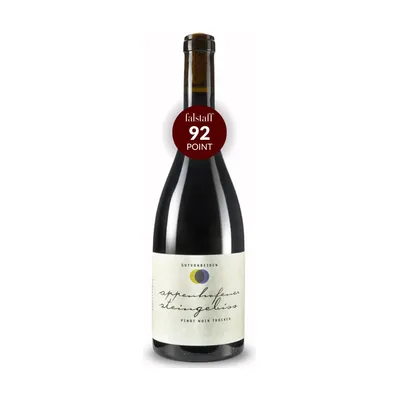 Gut von Beiden Pinot Noir Appenhofener Steingebiss 2020, Økologisk Rødvin, Pfalz Tyskland