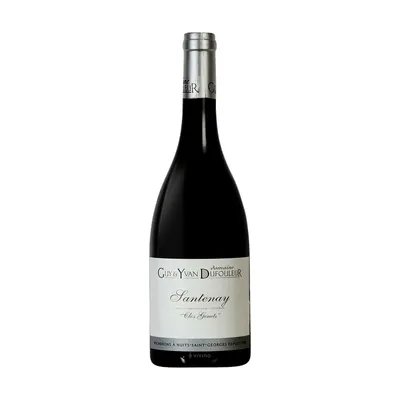Domaine Guy & Yvan Dufouleur Santenay Rouge "Clos Genets 2022 – Domaine Guy & Yvan Dufouleur