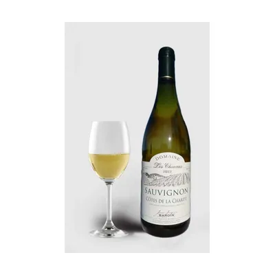 Jean Jacques Bardin Côtes de la Charite Sauvignon 2022 – Jean Jacques Bardin