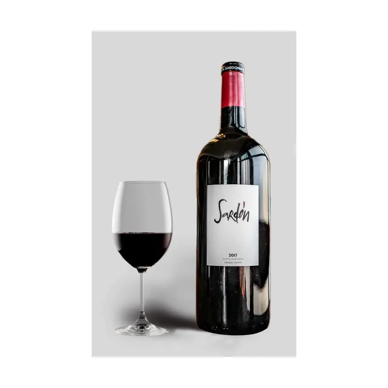 Quinta Sardonia Sardón 2020 MAGNUM – Castilla León