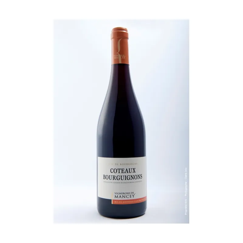 Les Vignerons de Mancey Côteaux Bourguignons Rouge 2021 – Les Vignerons de Mancey