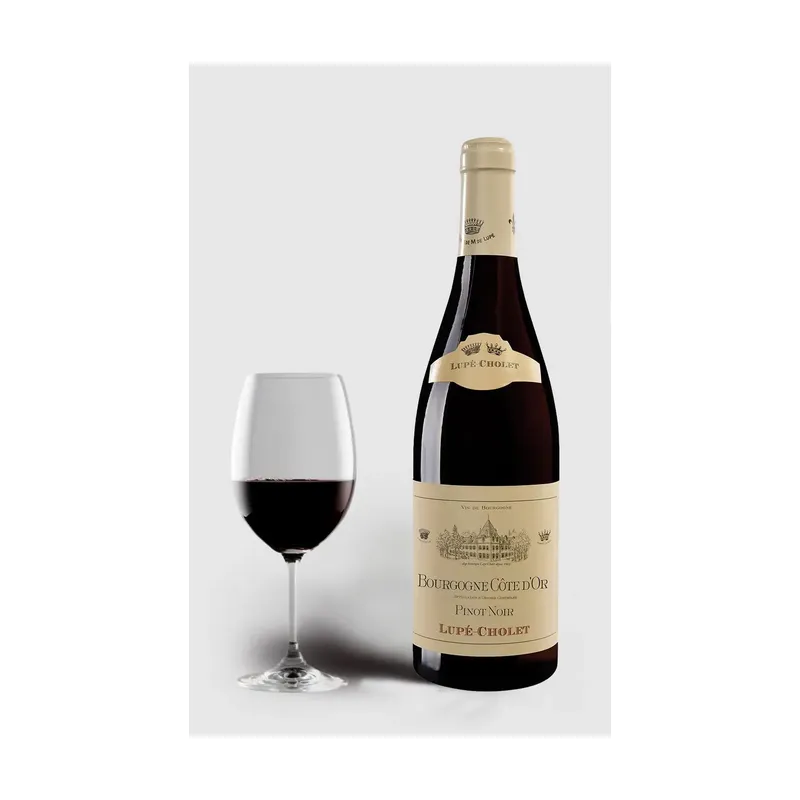 Lupe-Cholet 2022 Pinot Noir Cote D´Or Bourgogne – Lupe-Cholet