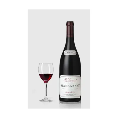 Domaine Méo-Camuzet Marsannay 2020 – Domaine Méo-Camuzet