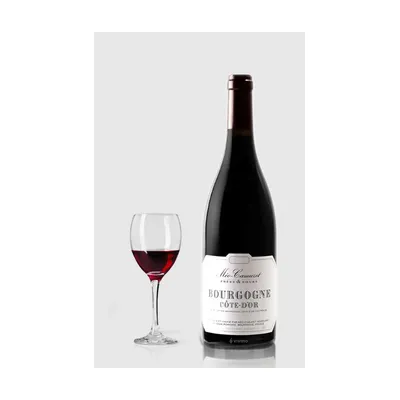 Domaine Méo-Camuzet Rouge Cote D´Or 2023 – Domaine Méo-Camuzet