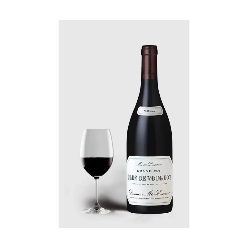 Domaine Méo-Camuzet Clos De Vougeot Gr. Cru 2020 – Domaine Méo-Camuzet