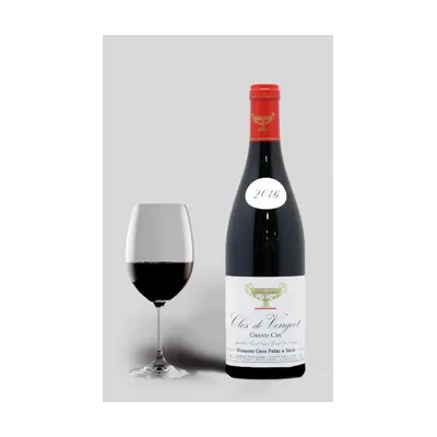 Domaine Gros Frère et Soeur Clos de Vougeot Grand Cru 2016 – Domaine Gros Frère et Soeur