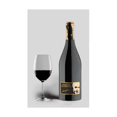 Nino Zeni Amarone Della Valpolicella Classico 2013 – Ferragu