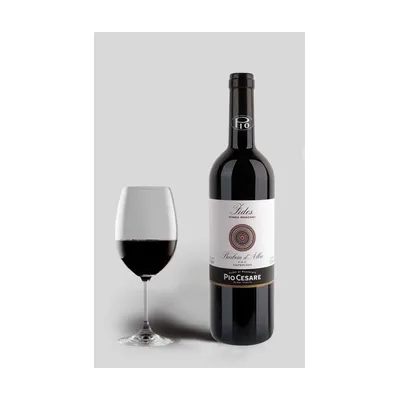 Pio Cesare Fides Barbera Dalba 2020 Piemonte – Pio Cesare