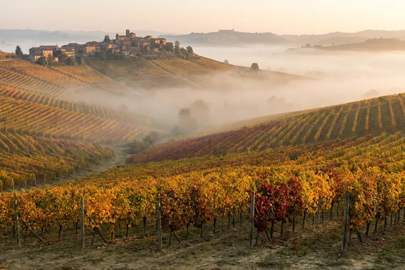 Vinmarker i Piemonte